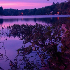 (LIVE) wave to earth - purple lake