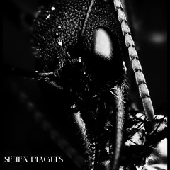 SEVEN PLAGUES.
