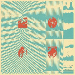 STEGI RADIO Interviews