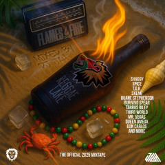 REGGAE LAKE FESTIVAL OFFICIAL MIXTAPE 2025 (Mixed by DJ JAH)