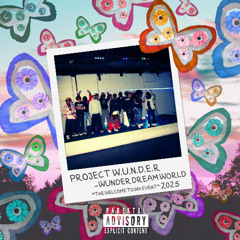 BruvTav - WunderSDE (f. Zyfelix) (prod. mvndkontrol)