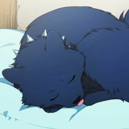 🪽💤🧸  ⋆｡