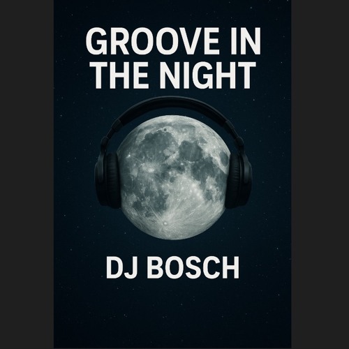 GROOVE IN THE NIGHT