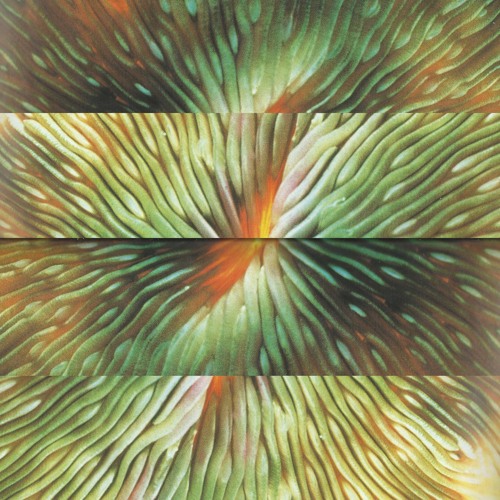 Premiere: Active Surplus 'Emote Control'