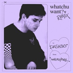 DASH30 - whatchu want? (Wherefore Remix)