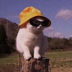 Believe In Me (Day 14)