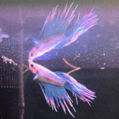 Earth Frequency (demo, mixed version)