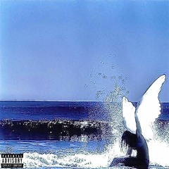 FLY Ft. Overpade