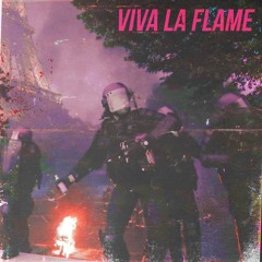 BLAZE DIRECTOR - VIVA LA FLAME MIX