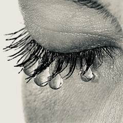 cry (feat. saddo & dk)(prod. zivo)