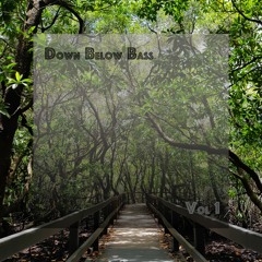 Down Below Bass | #1