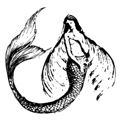 Did U Say  (Arvin t Remix)