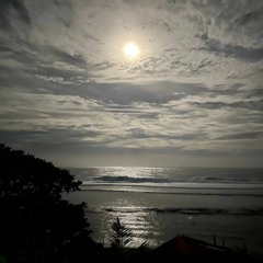 I Wanna Be Yours (Arctic Monkeys Cover)