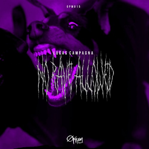 PREMIERE : Lucas Campagna - How Should I Stop Raving (Original Mix)