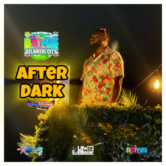 DJ BLAZER X 007 - BRT AFTER DARK DAY 1