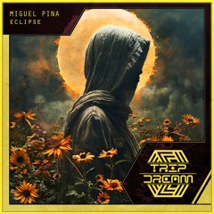 Miguel Pina - Eclipse (Radio Edit)