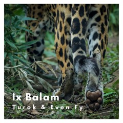 Even Fly & Montero - Ix Balam (Original Mix)