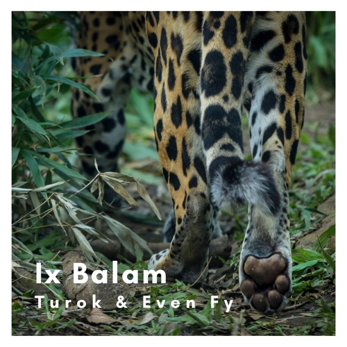 Even Fly & Montero - Ix Balam (Original Mix)