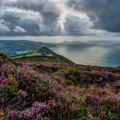 While the Heather Hillocks Hold Thee (Piano Improvisation)