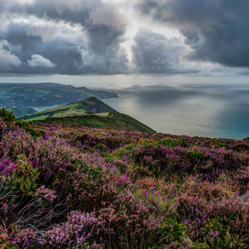 While the Heather Hillocks Hold Thee (Piano Improvisation)