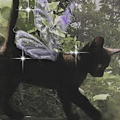 Только моя кошка