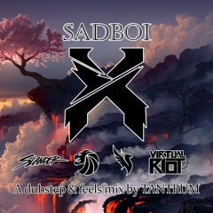 Sadboi X (Excision, Illenium, SLANDER, Seven Lions & Virtual Riot headbanger & feels mix)