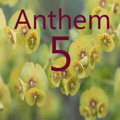 Anthem 5