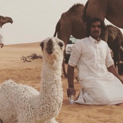 درب الهوى وملاعب الغّي — حمد المري