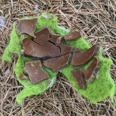 tennis ball autopsy
