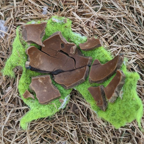 tennis ball autopsy