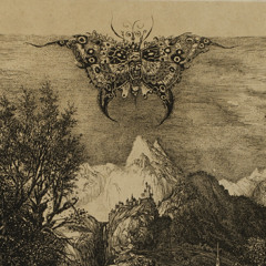 Song Of The Yellow Swallowtail