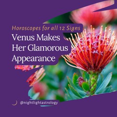 Venus Makes Her Glamorous Appearance - Horoscopes for All 12 Signs