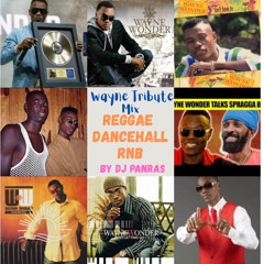 Wayne Wonder Tribute Mix By DJ Panras