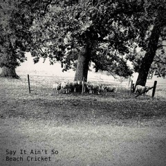 Say It Ain't So - Acoustic