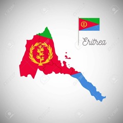 20th Independence Day Celebration  2011- Wedi Tikabo