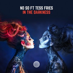 NoSo feat. Tess Fries - In The Darkness
