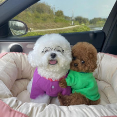 staying the same prod kuru 4am & grandee