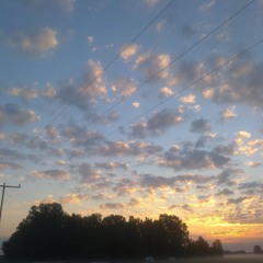 0002 50 - Audio (2015)