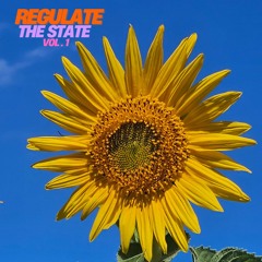 Regulate the State: Vol 1 || Downtempo Mix