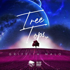 Treetops feat. Soldado (Original Mix)