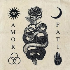 Amor Fati