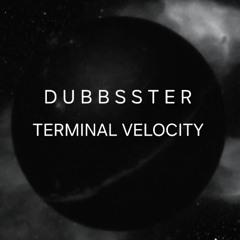 Dubbster - Terminal Velocity