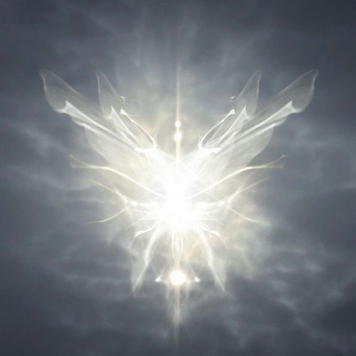 sia - elastic heart (minus)