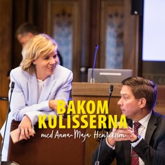 En budget som hjälper oss över vintern - Bakom kulisserna med Anna-Maja Henriksson