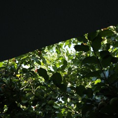 3-Audio 0001 [2025-03-10 115349]