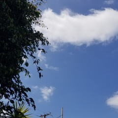 THE