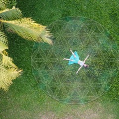 Organic Chill Rave Live Mix*Sri Lanka*12.12.2022*