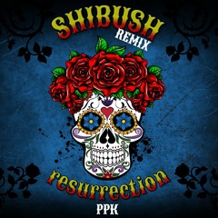 PPK - Resurrection (SHIBUSH REMIX)