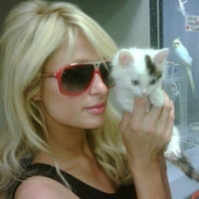 Better off Alone X Gucci Gucci ✦👡