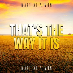 Thats The Way It Is - Martial Simon (Radio Edit)